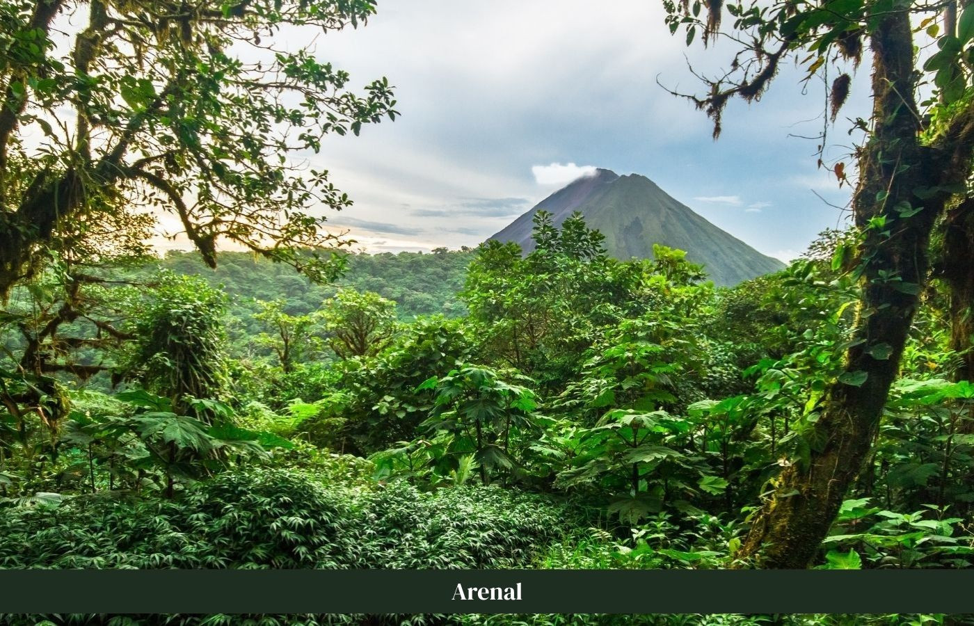natuurgebied Arenal