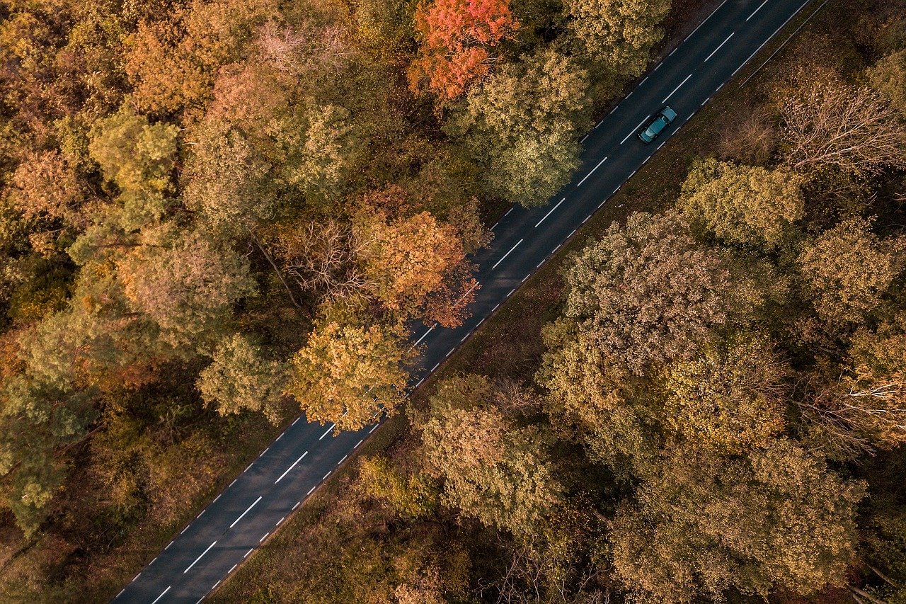 Autoweg in de herfst