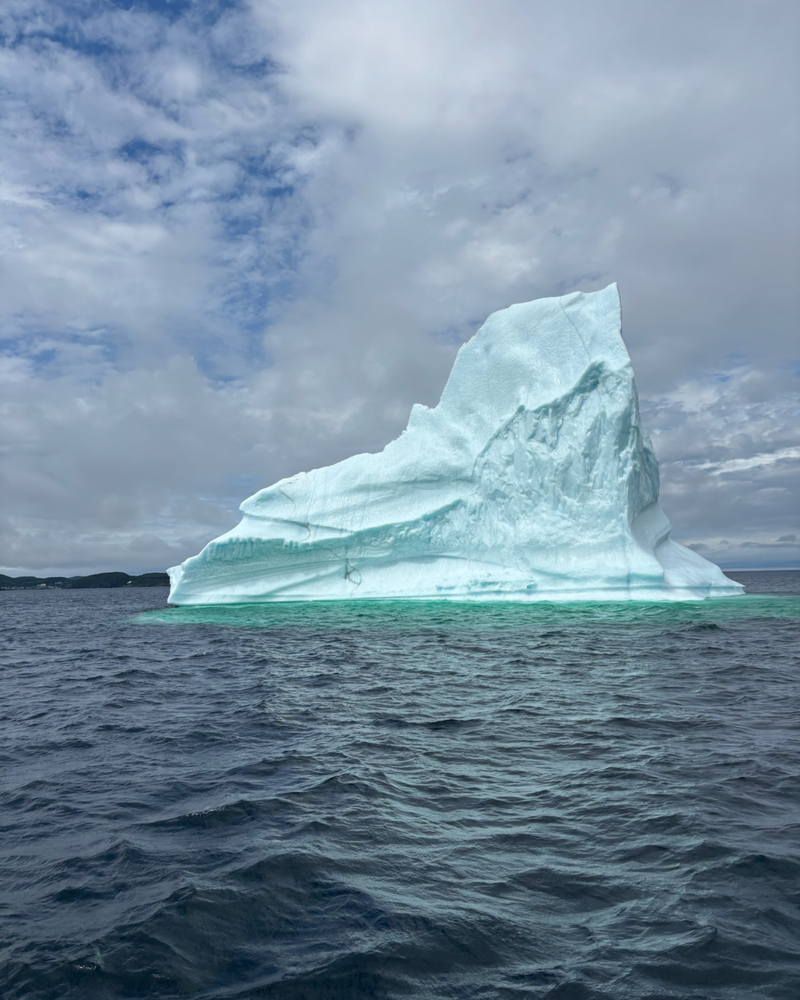 Studiereis Atlantisch Canada - Twillingate Iceberg
