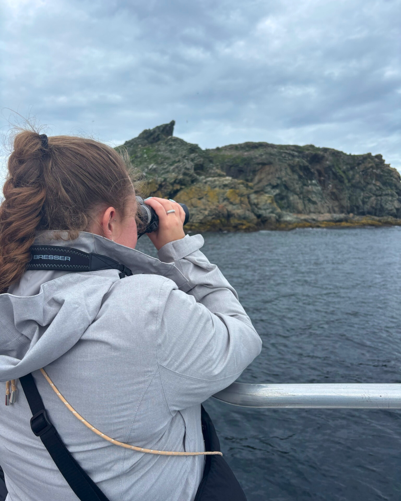 Studiereis Atlantisch Canada - Twillingate Iceberg