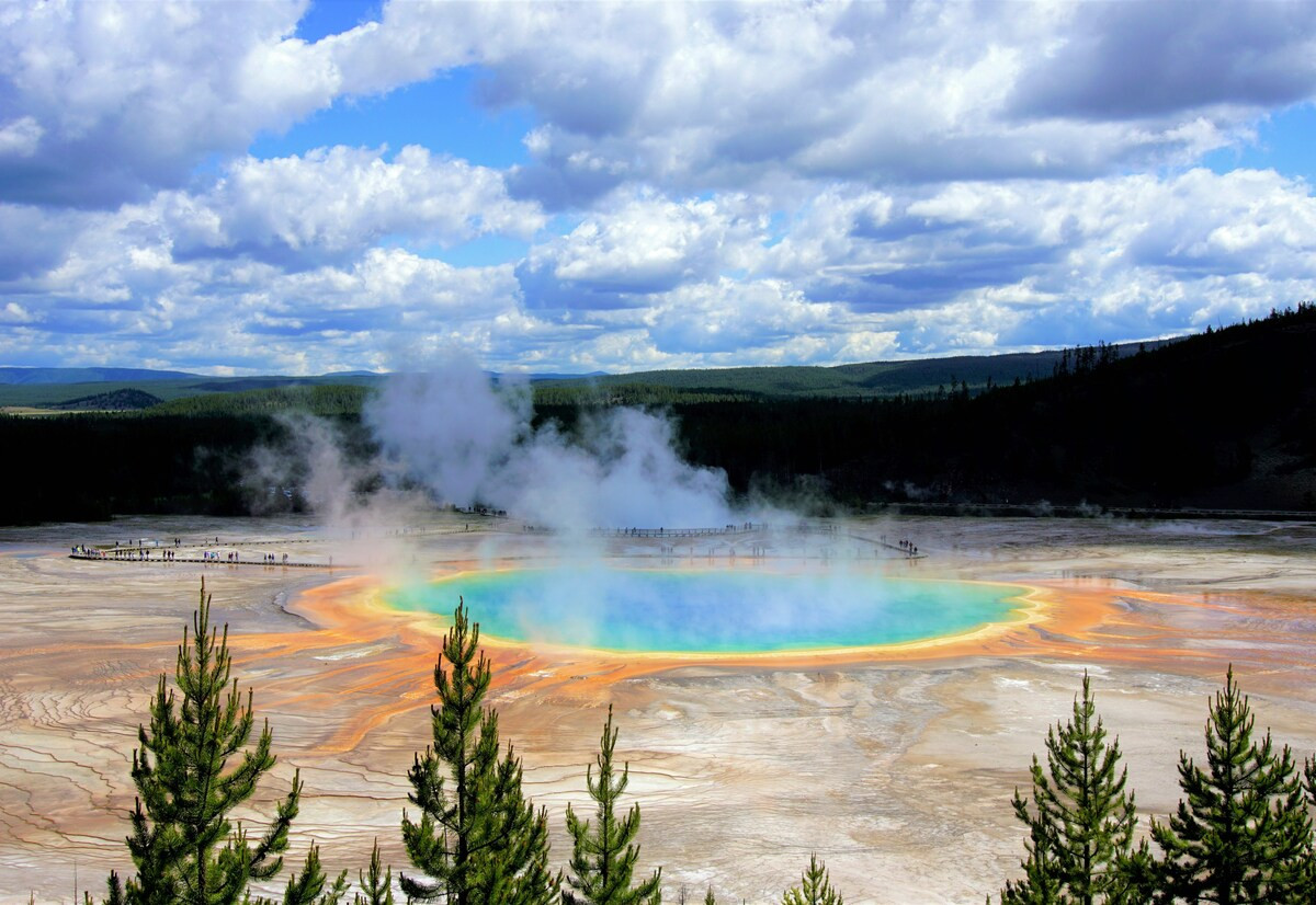 Yellow Stone National Park