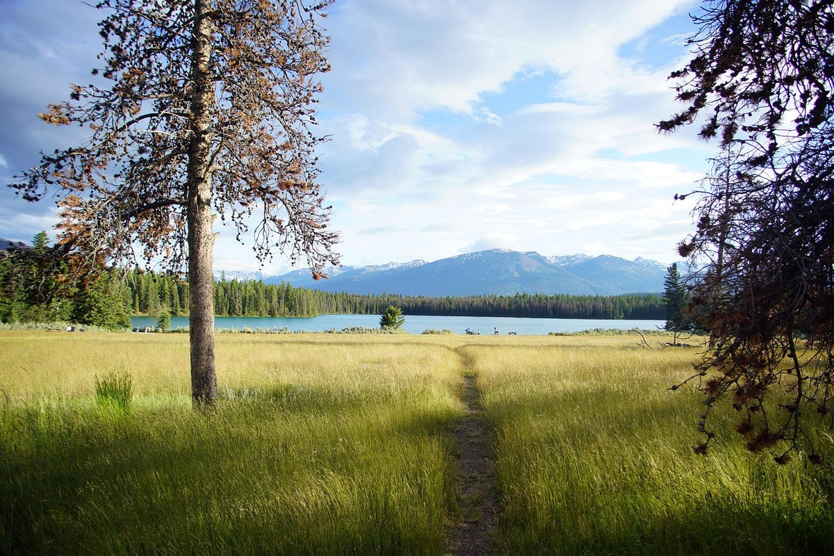 Park met de Rockies op de achtergrond