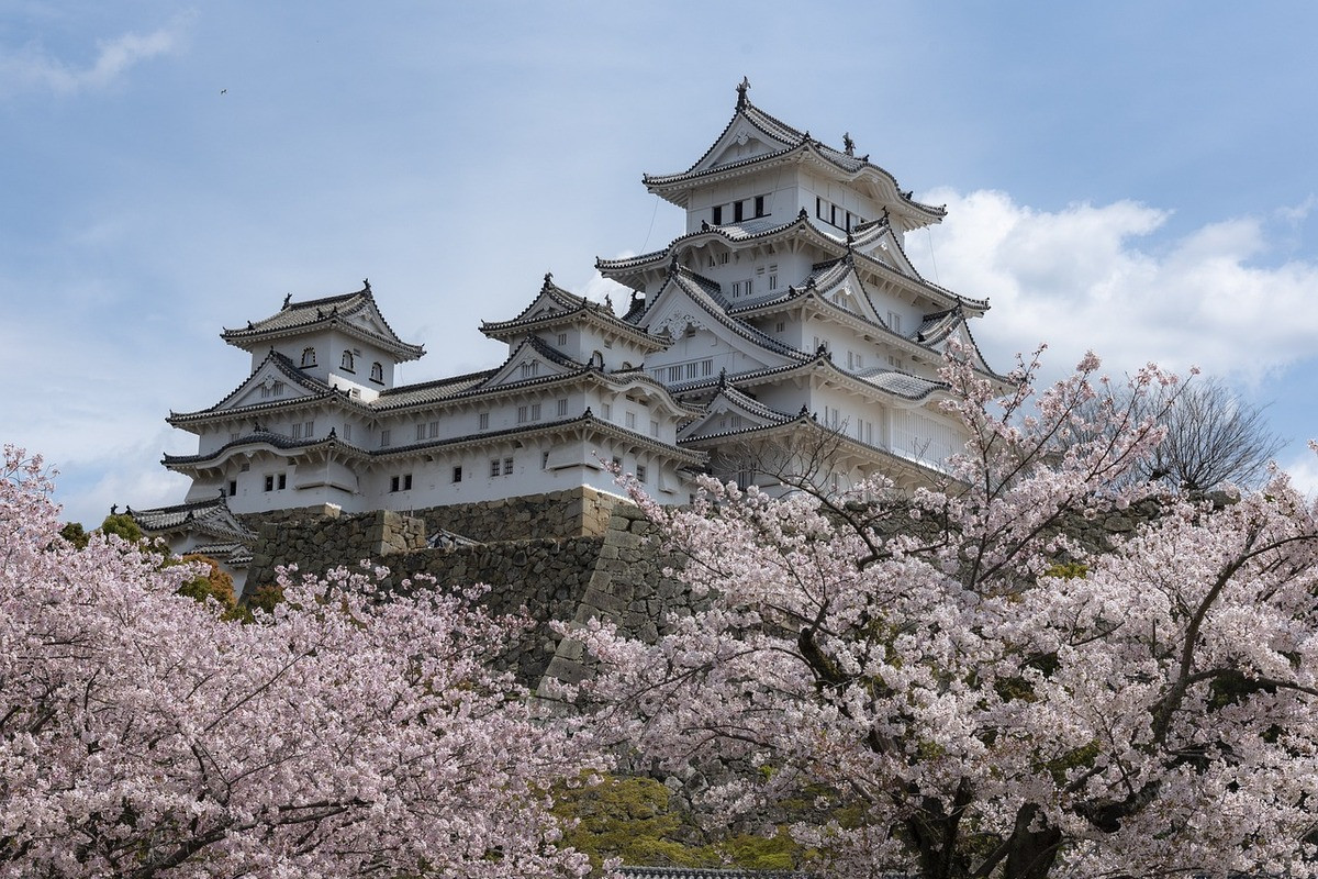 Himeji Castle bij de kersenbloesem