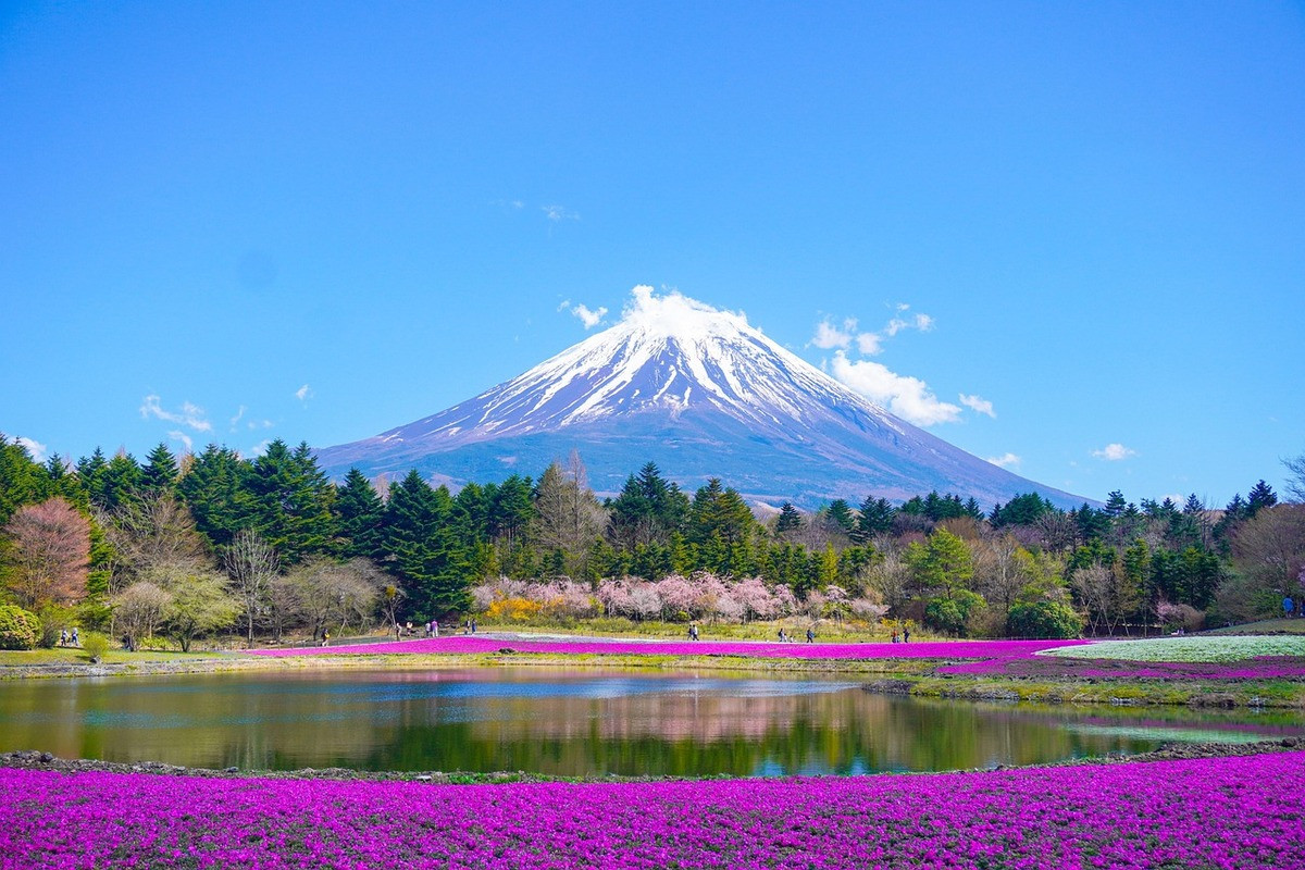 Mount Fuji in de lente