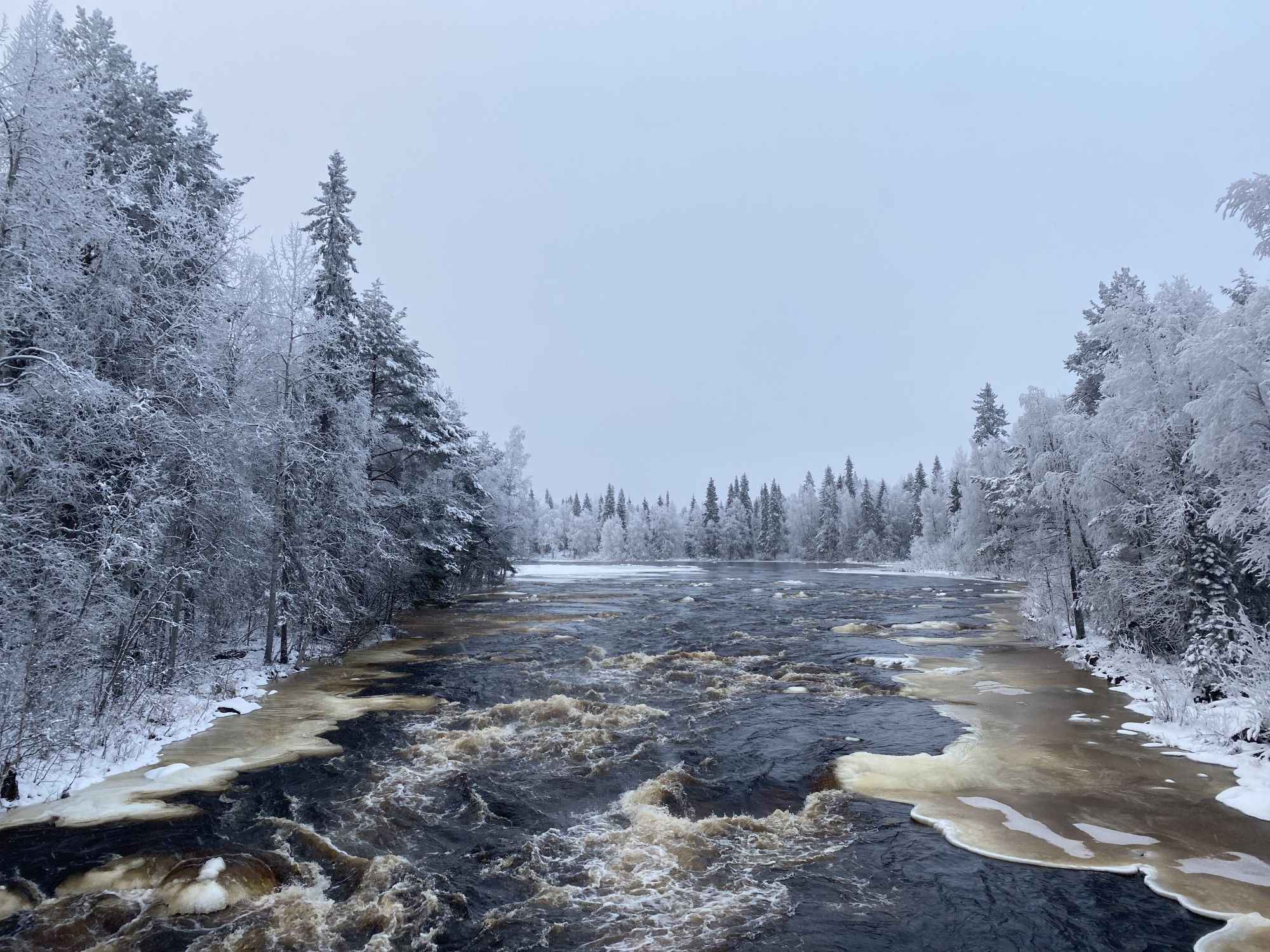 Bevroren rivier en besneeuwde bomen in Lapland