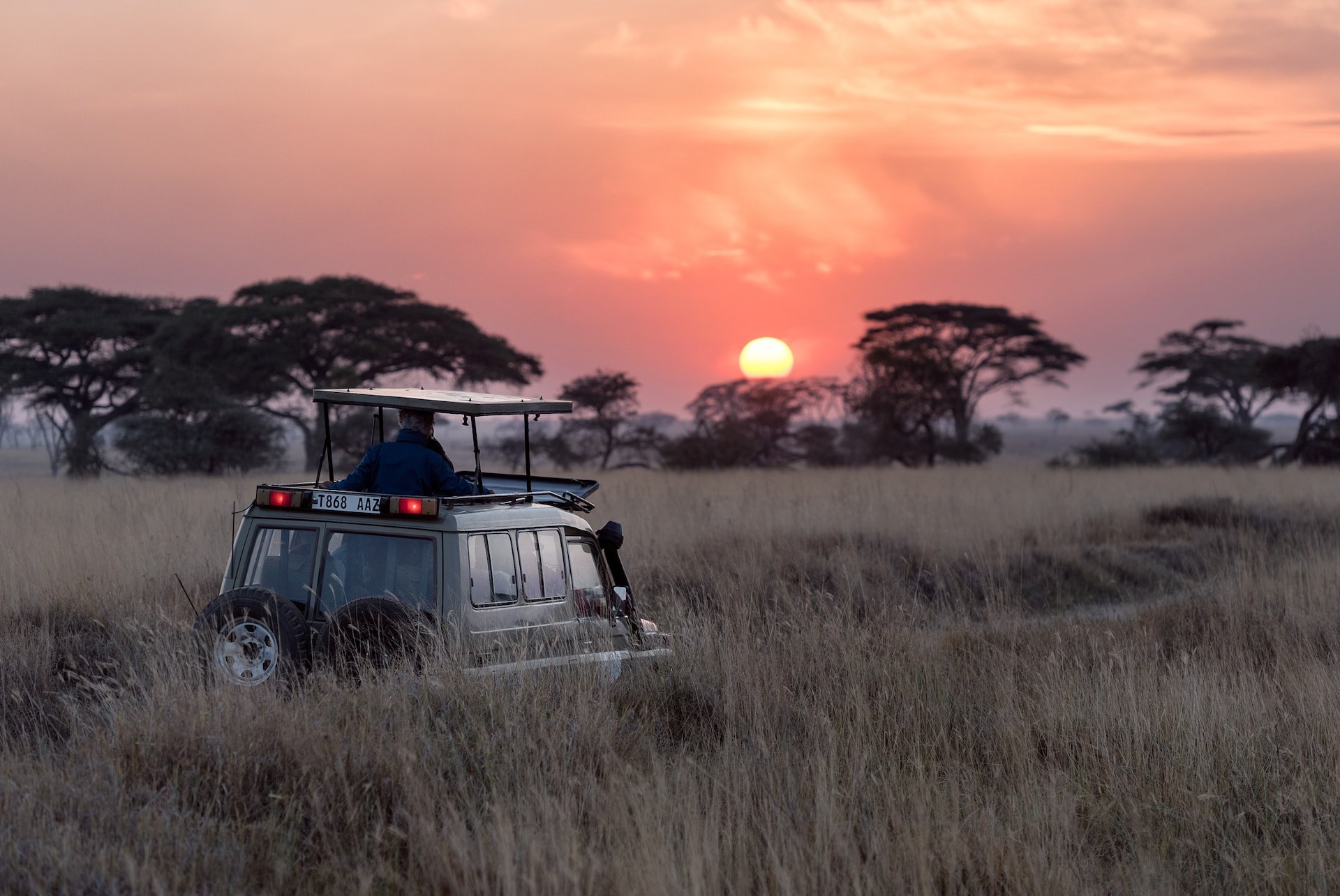 Safari in Tanzania tijdens zonsopkomst