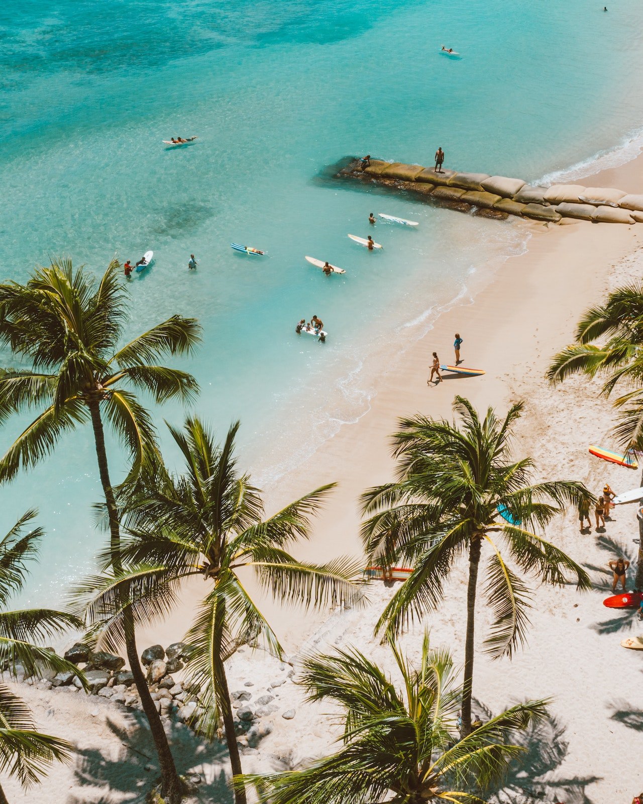 Het strand van Hawaii met palmbomen en surfers