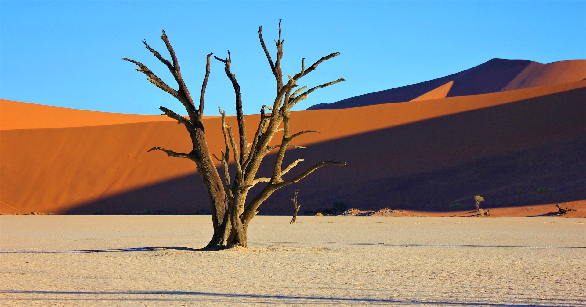 Sossusvlei in Namibië