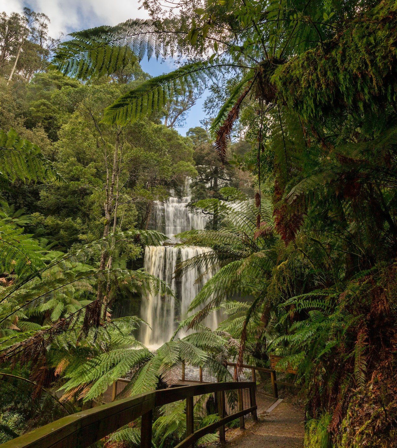 Mount Field National Park in Tasmanië