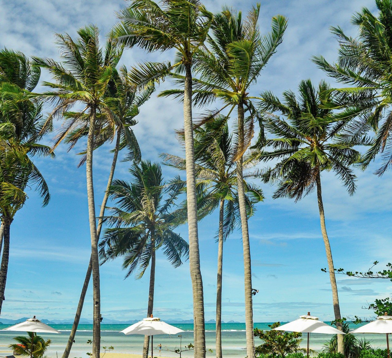 Palmbomen op een strand van Thailand