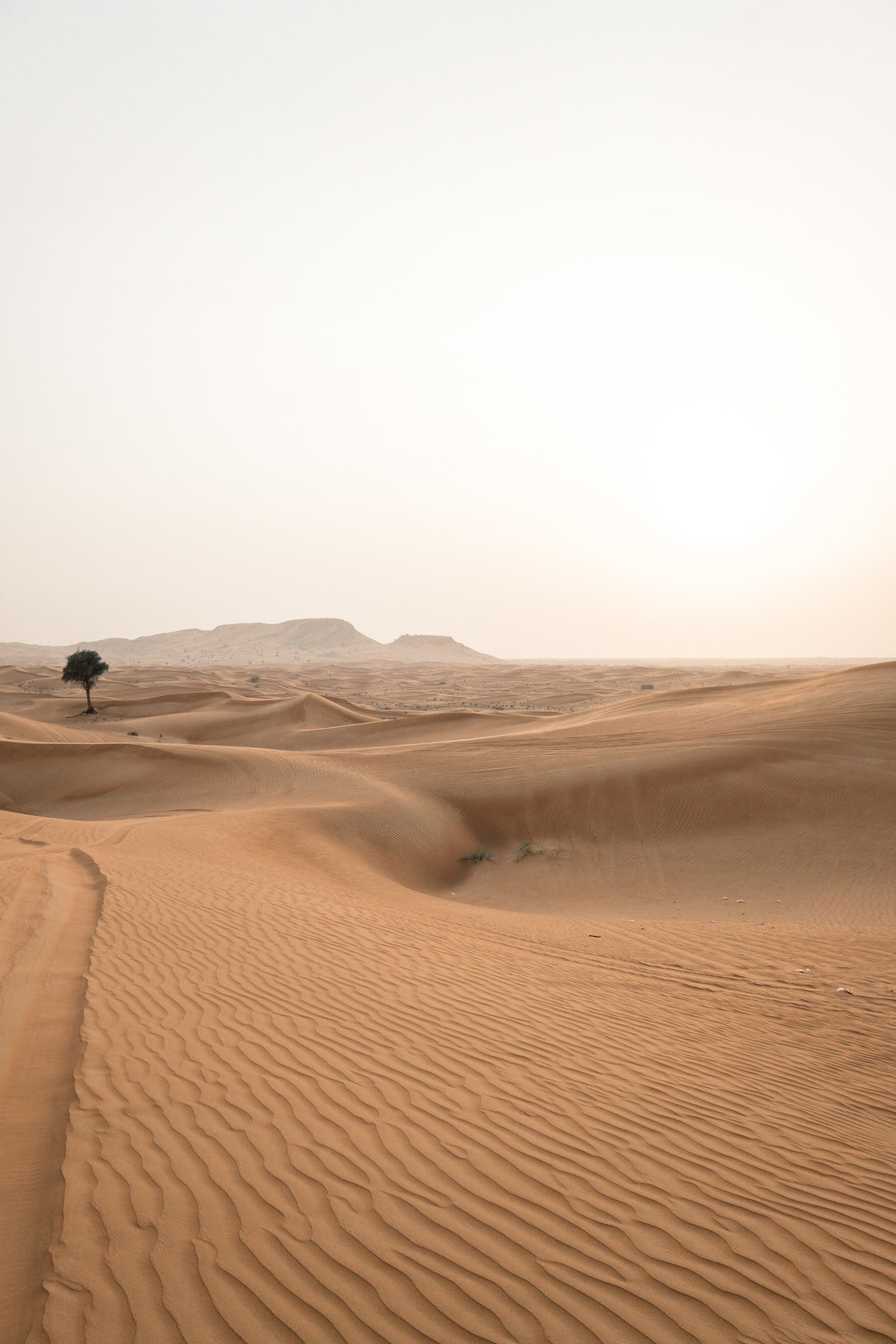Woestijn rond Dubai