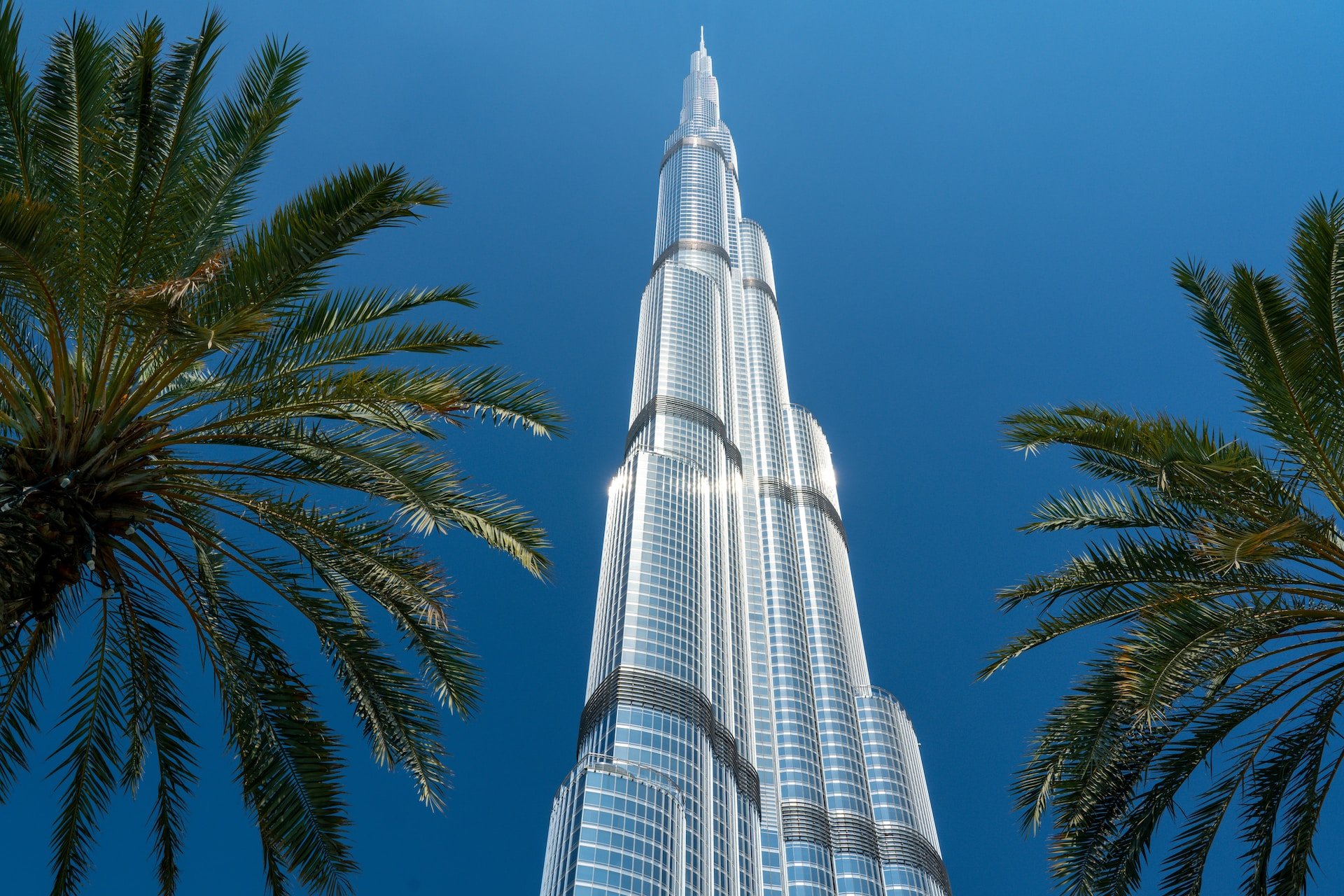 Burj Khalifa met palmbomen vanaf de grond