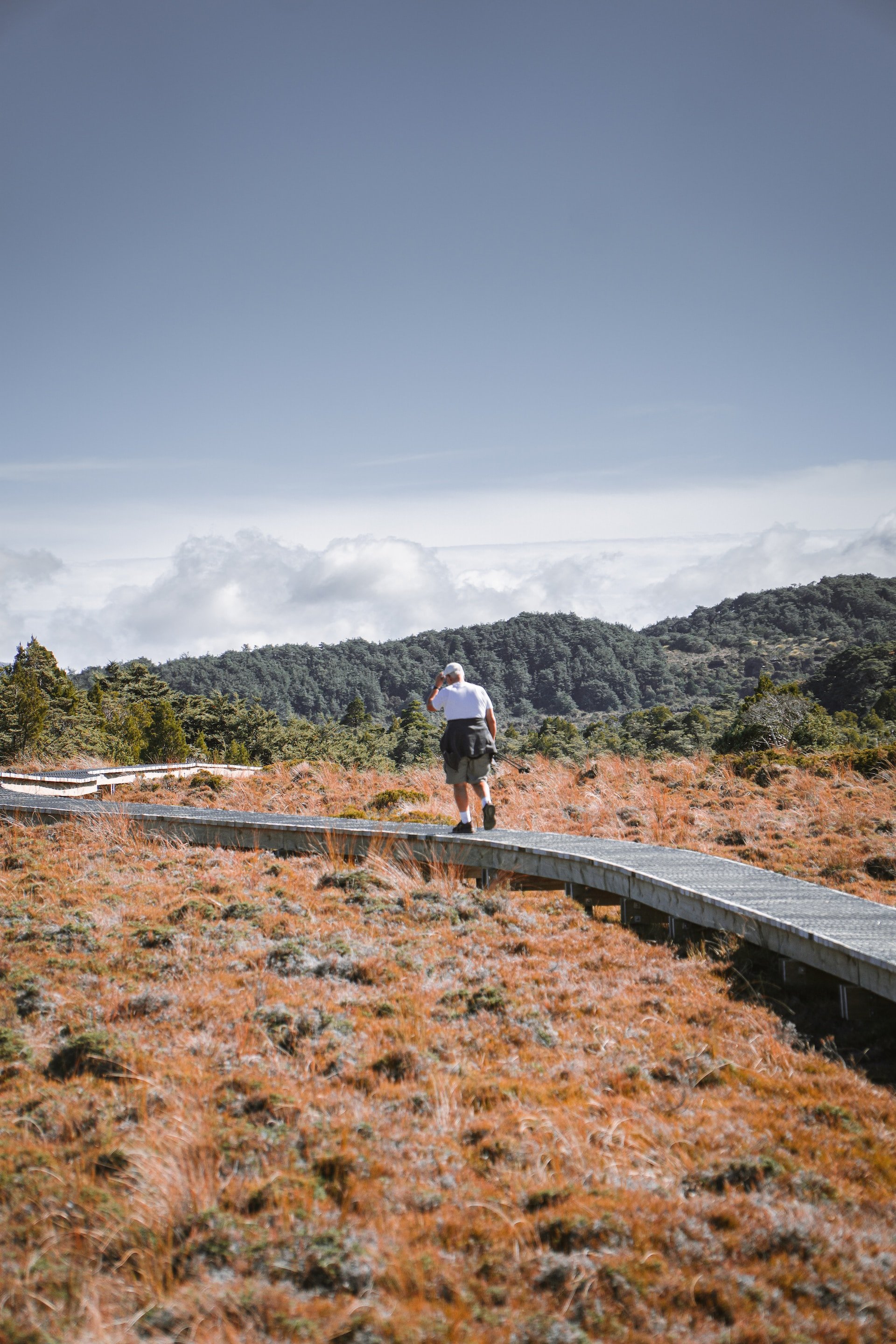 Wandelaar loopt over aangelegd houten pad in Tongariro National Park, Nieuw-Zeeland
