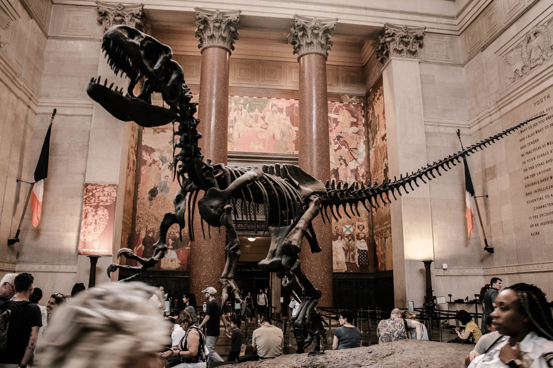Dinosaurus in het American Museum of Natural History