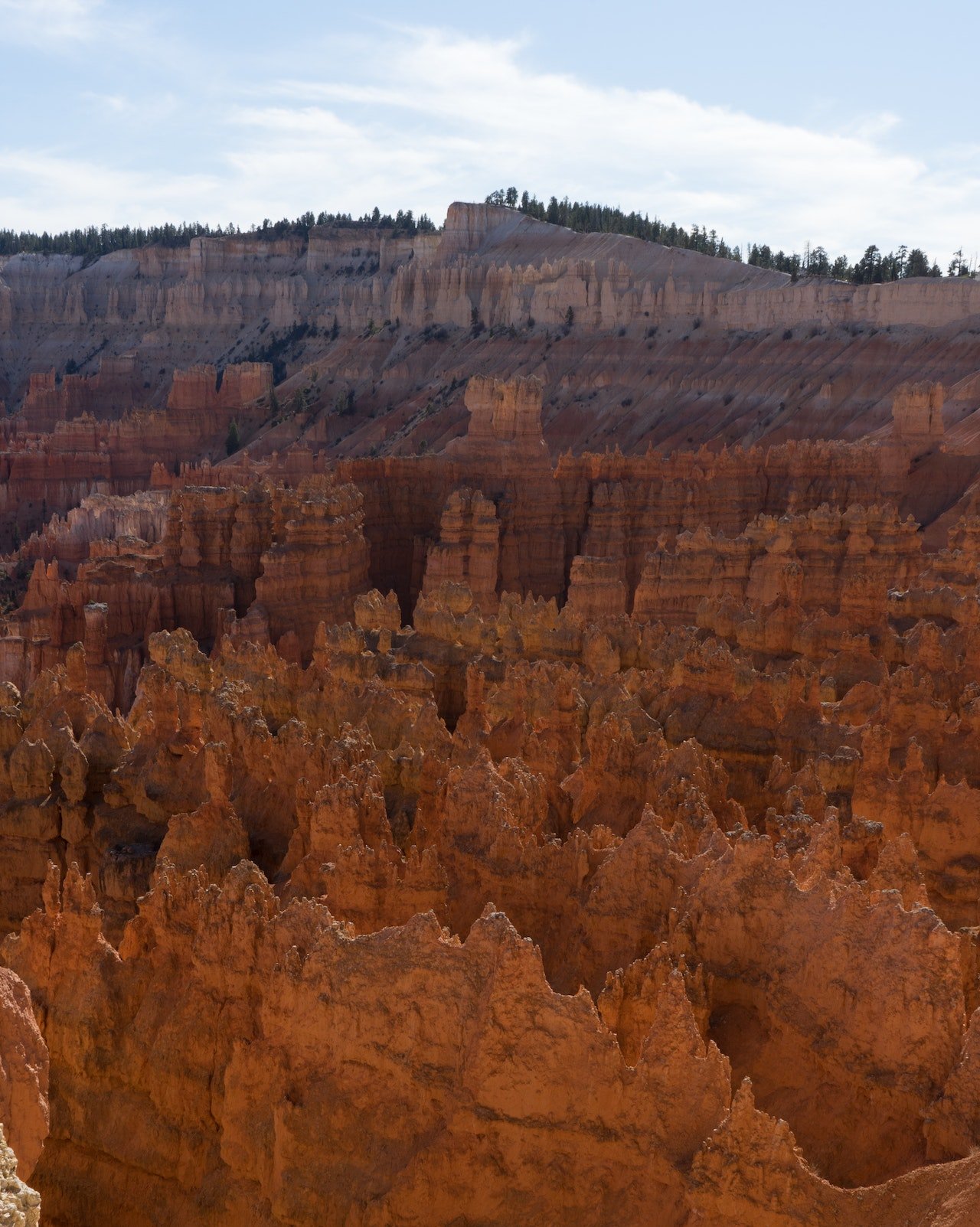 De rotsen van de Bryce Canyon