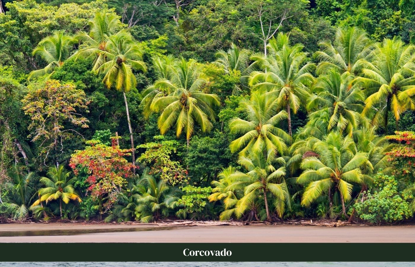 Kust Corcovado