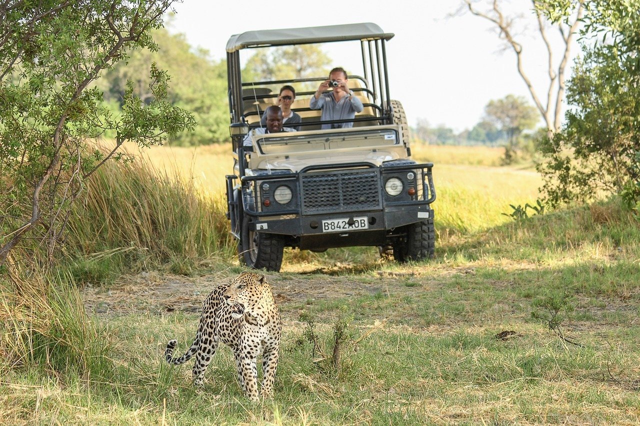 Botswana jeepsafari met luipaard