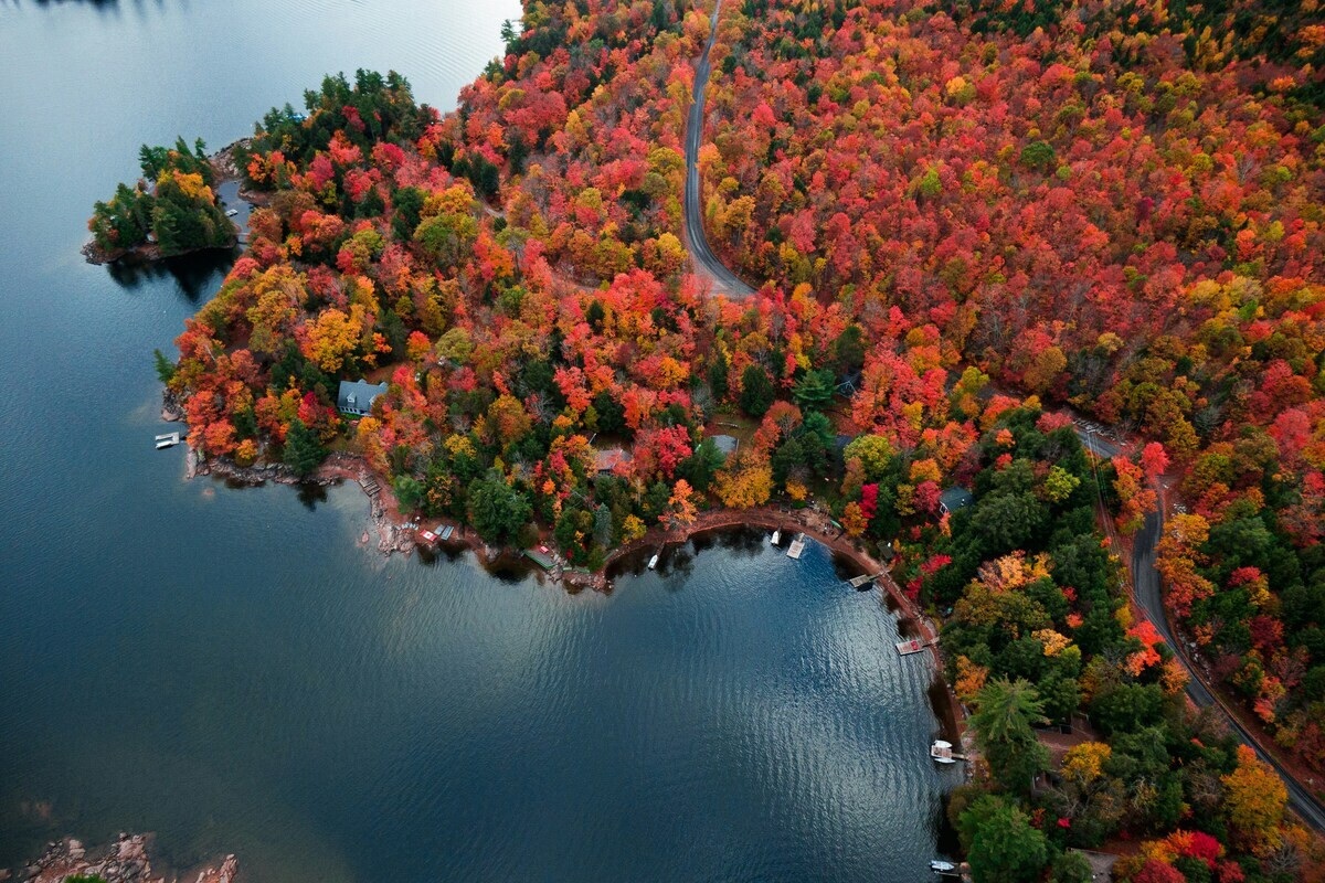 Herstkleuren tijdens autoreis in Ontario