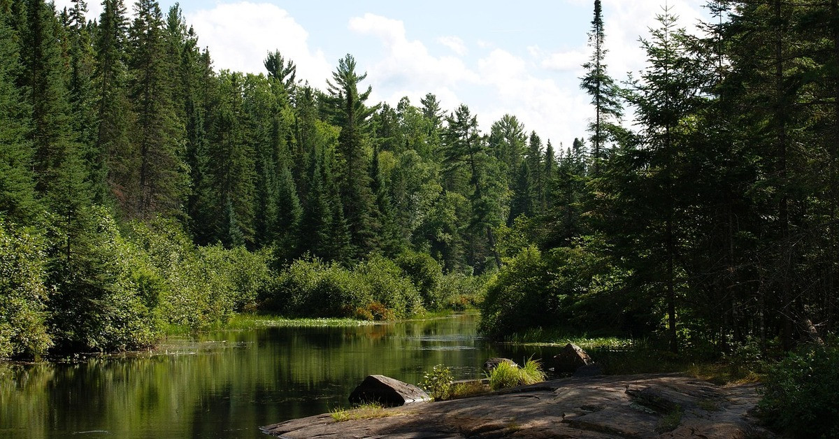 Rondreis Oost-Canada - Alonquin Provincial Park