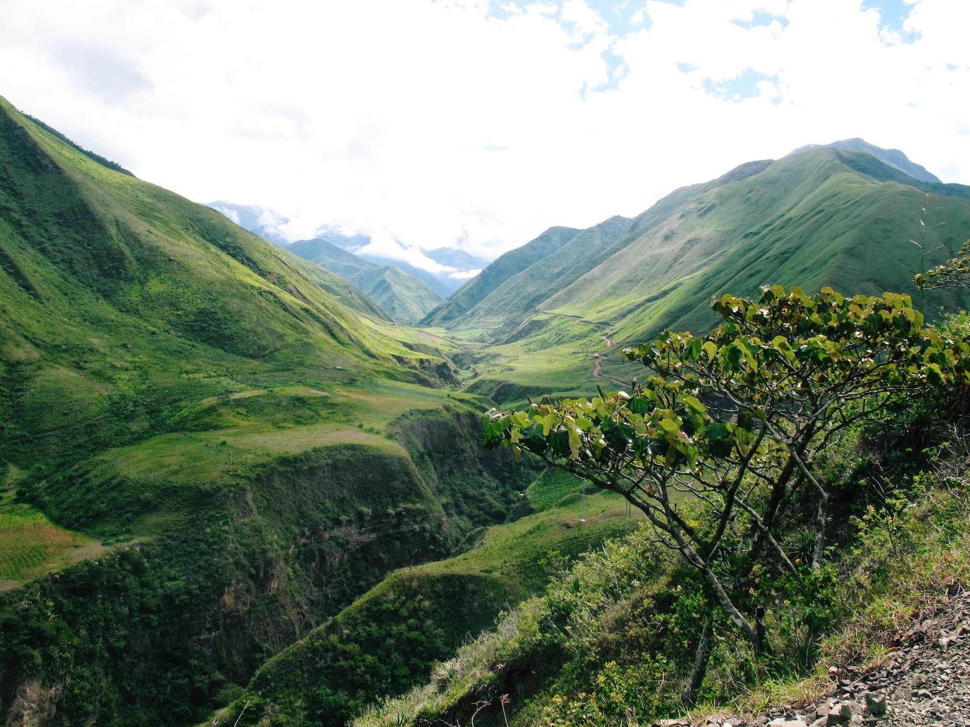 Ecuador groen landschap