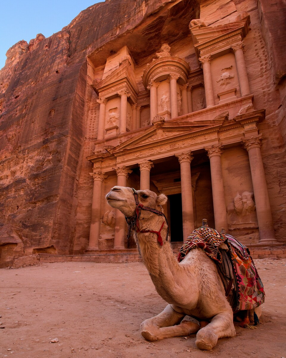 Petra in Jordanië met kameel op de voorgrond