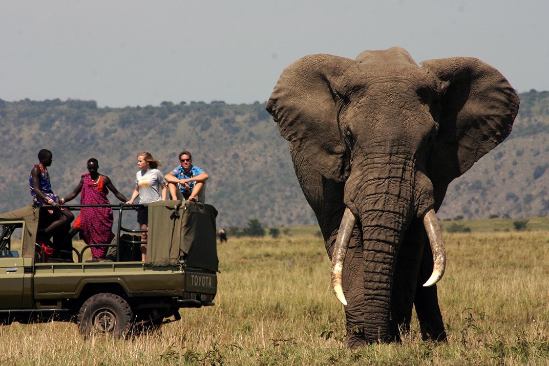 Jeepsafari olifant Kenia