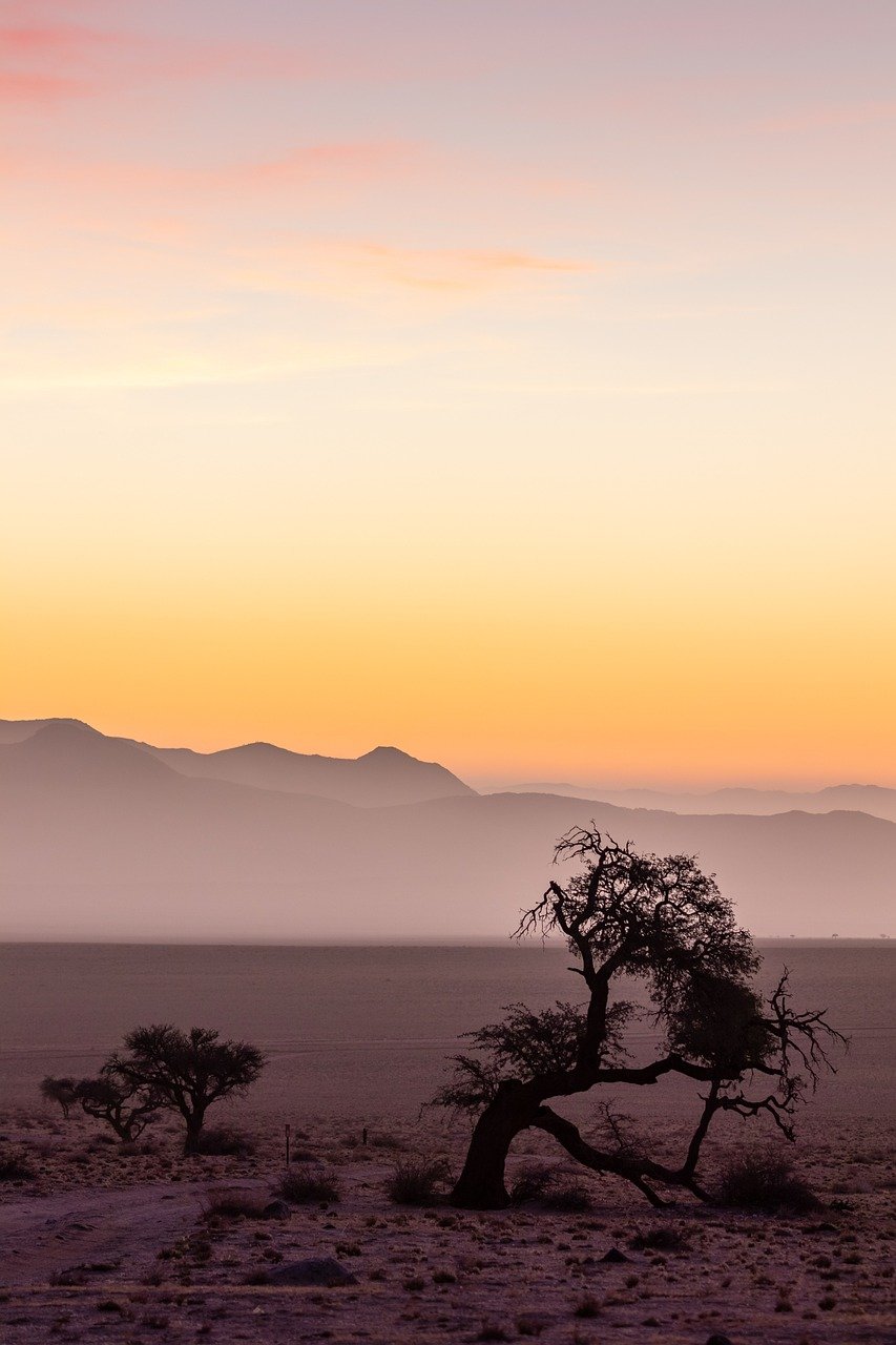 Namibië mist in de woestijn