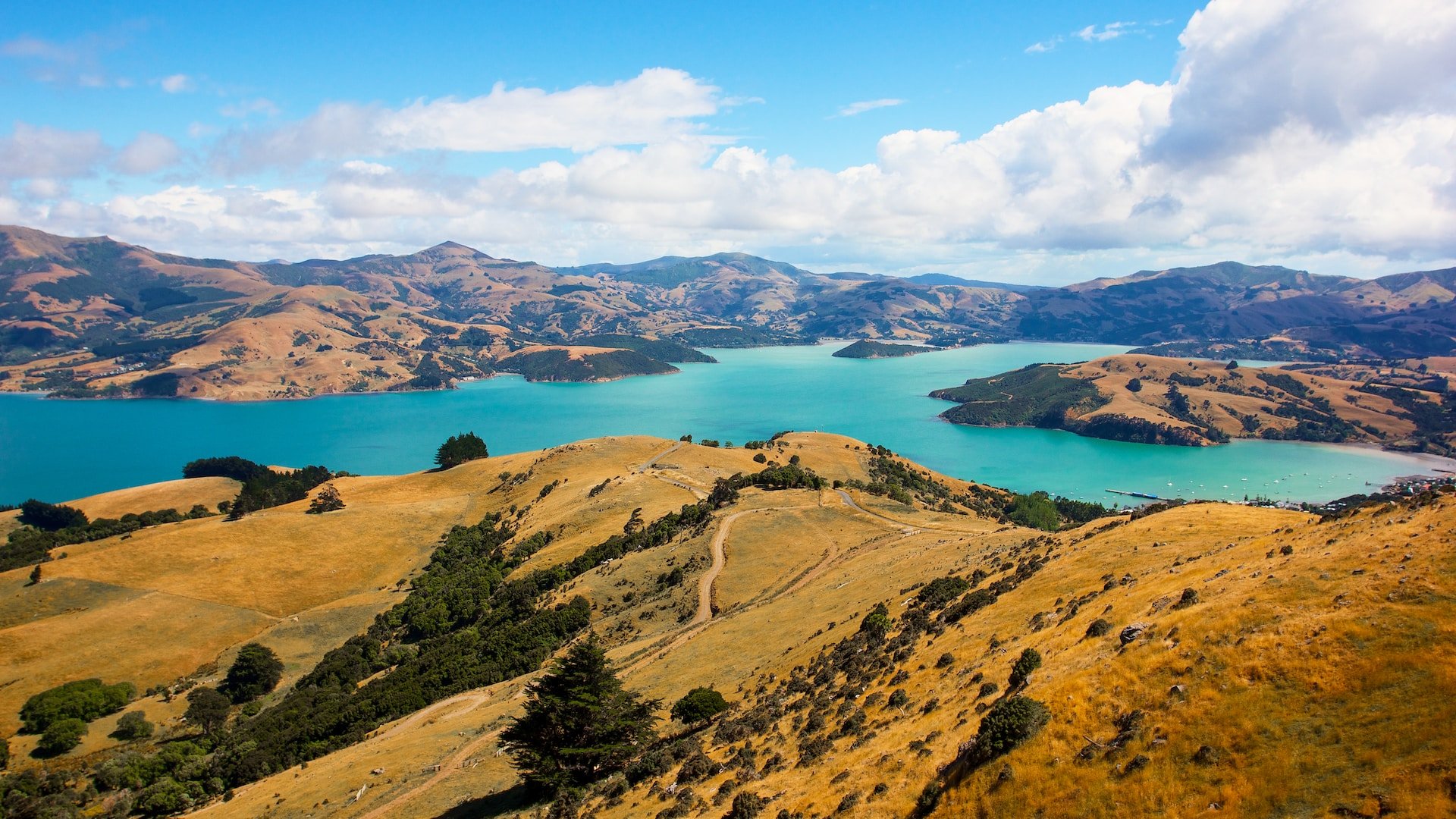 Luchtfoto van natuur met water in Nieuw-Zeeland