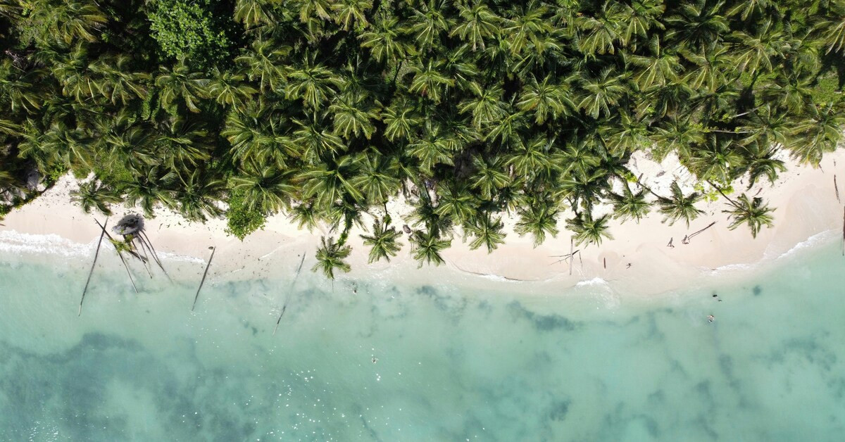 Rondreis Panama - strand met palmbomen