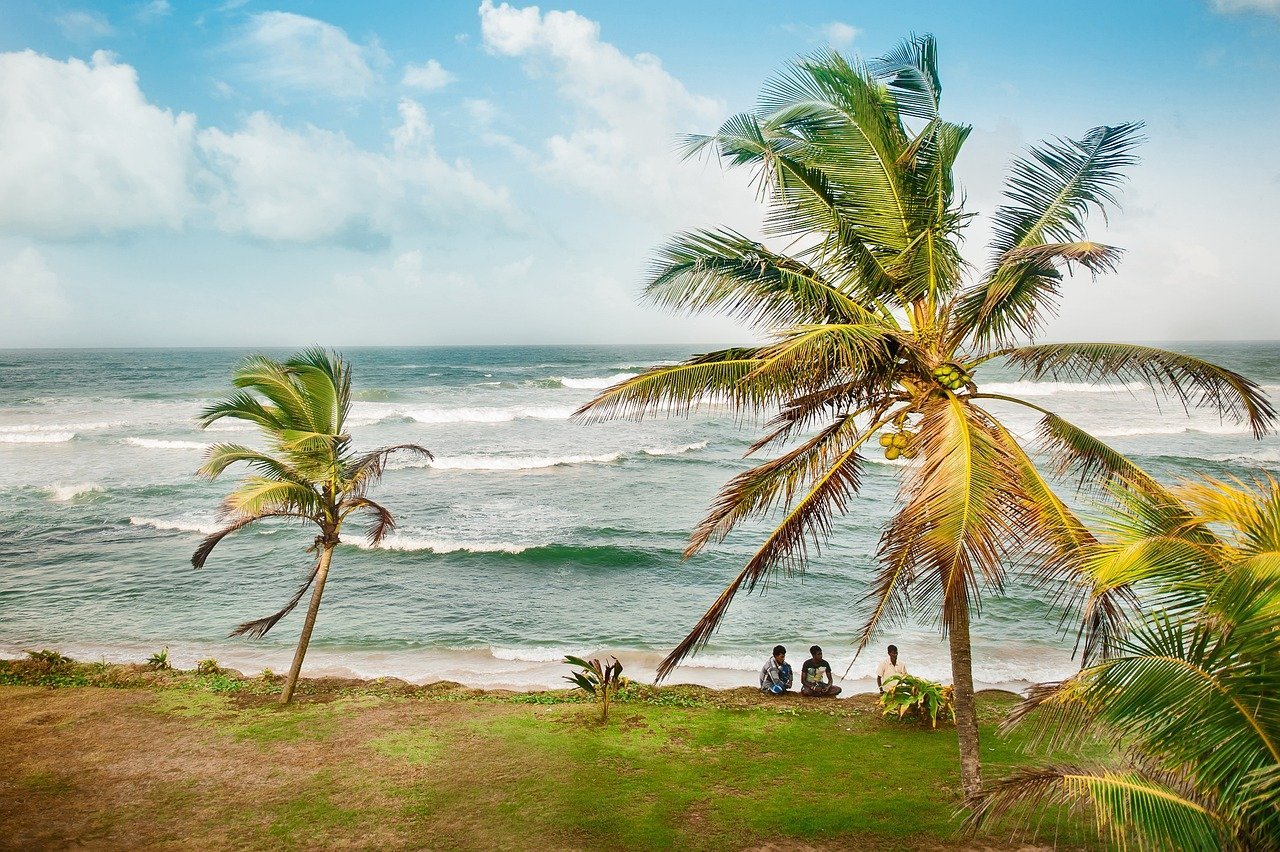 Sri Lanka palmbomen in de wind