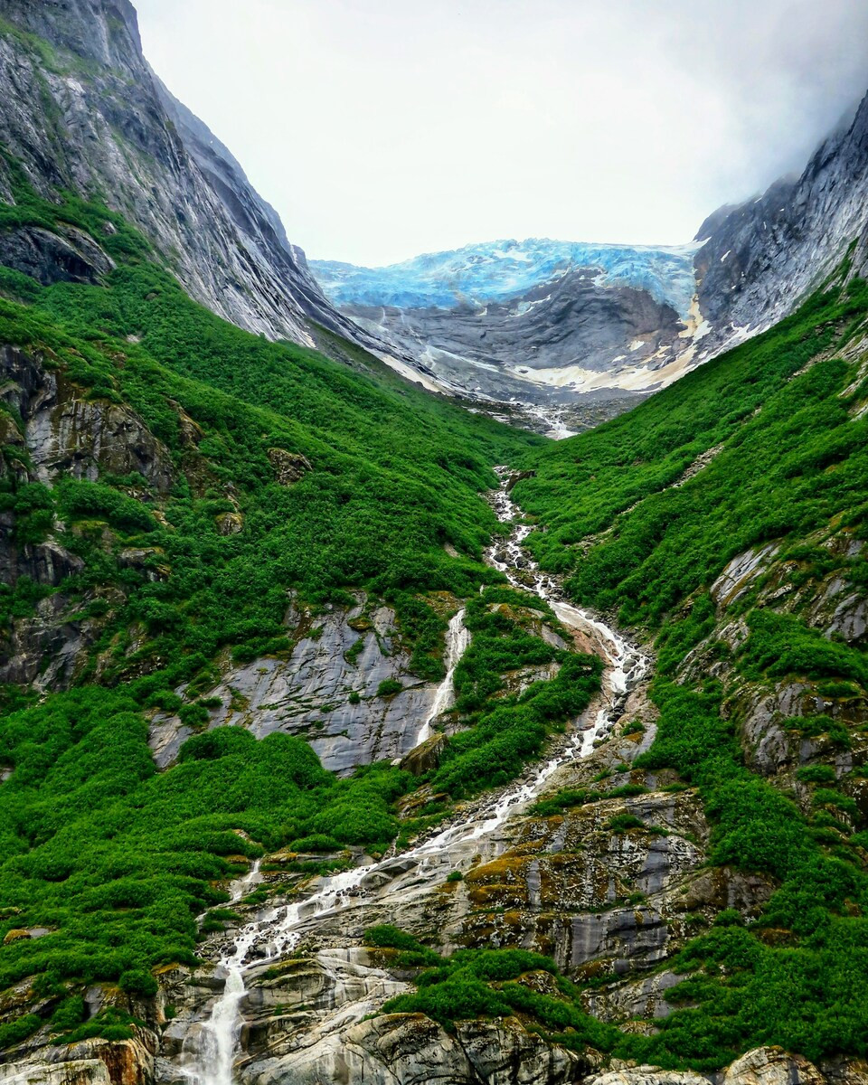 Glacier Bay, Alaska
