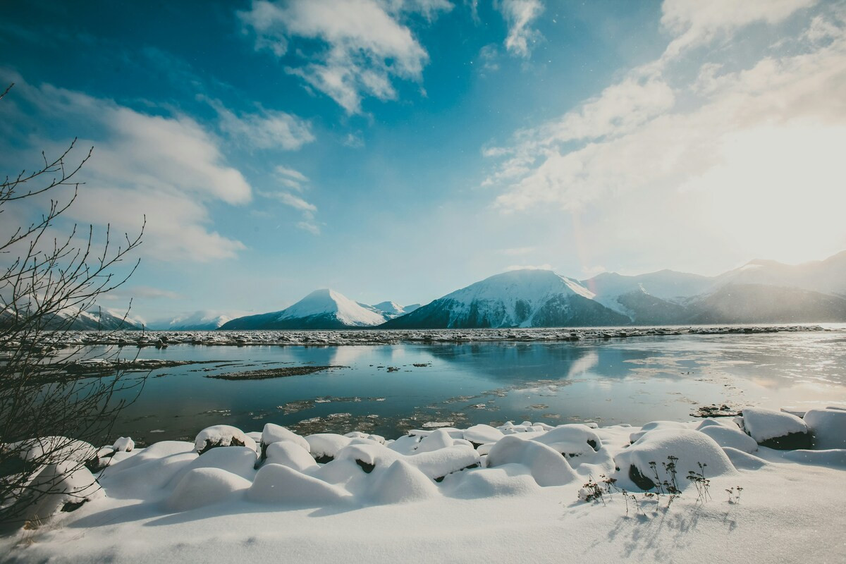 Sneeuwlandschap met bergen in Alaska