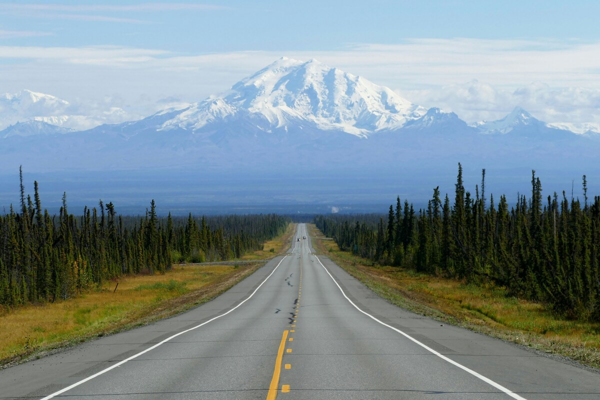 Weg richting Mount Drum, Alaska