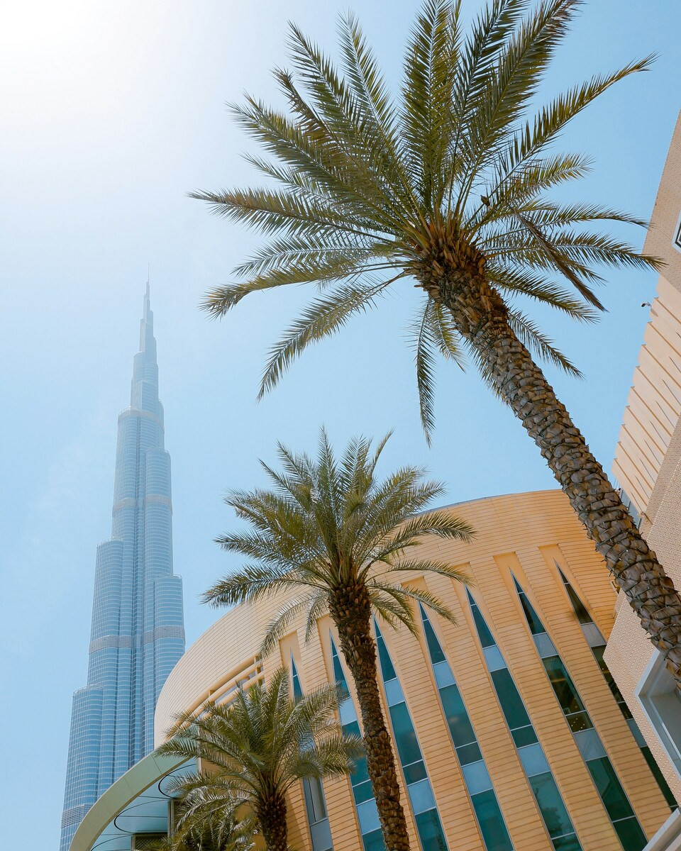 Burj Khalifa en palmbomen in Dubai