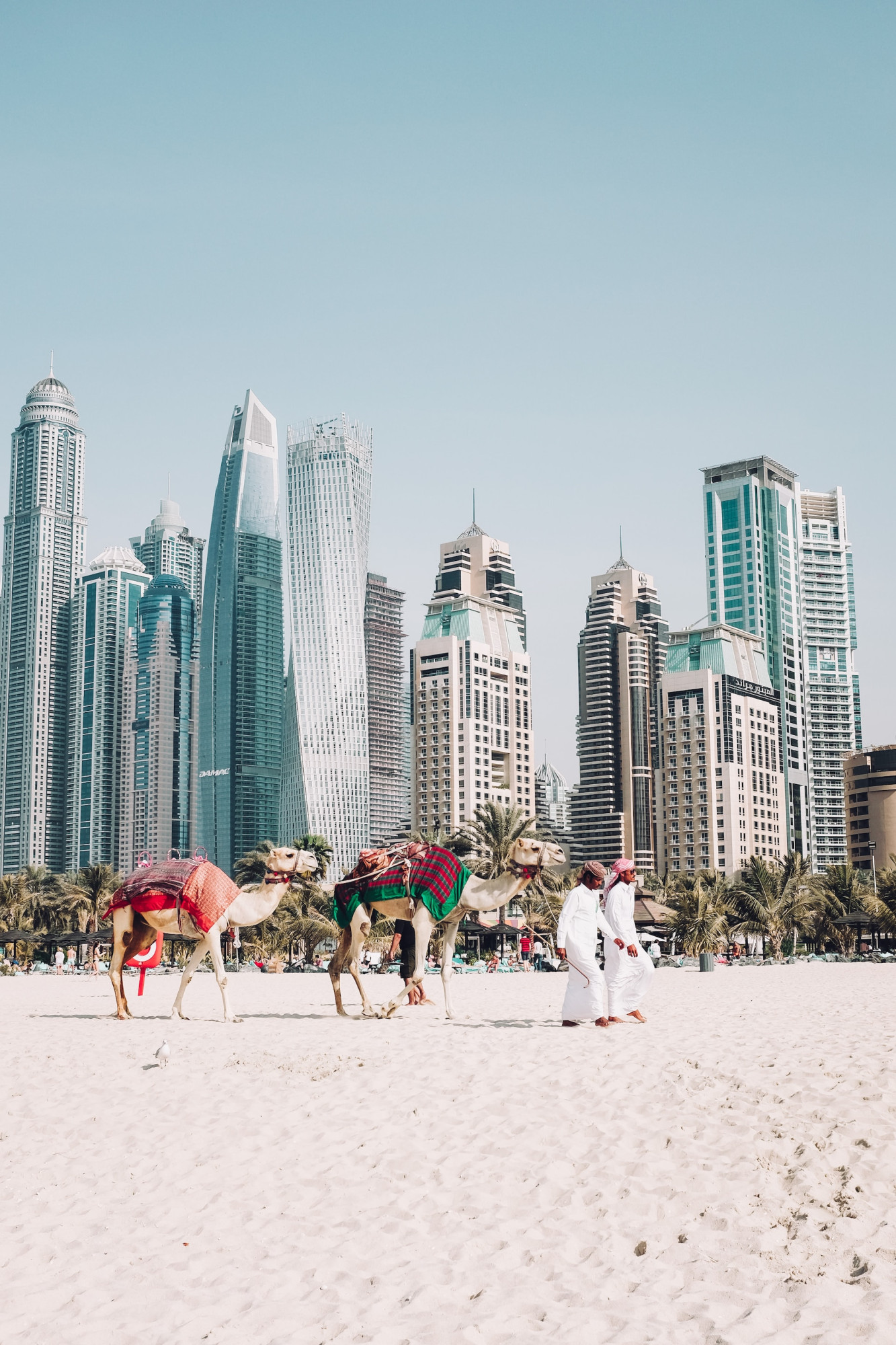 Dubai strand met kamelen