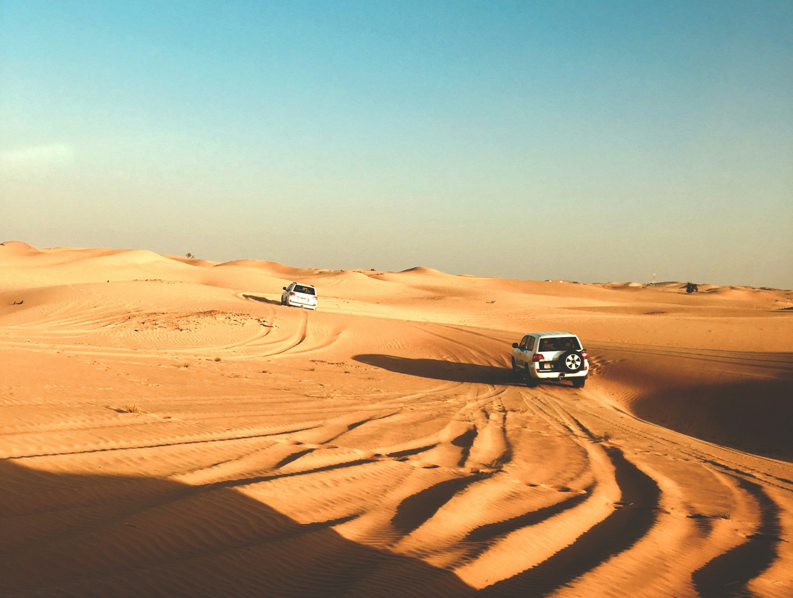 Auto's rijdend door de woestijn in Abu Dhabi