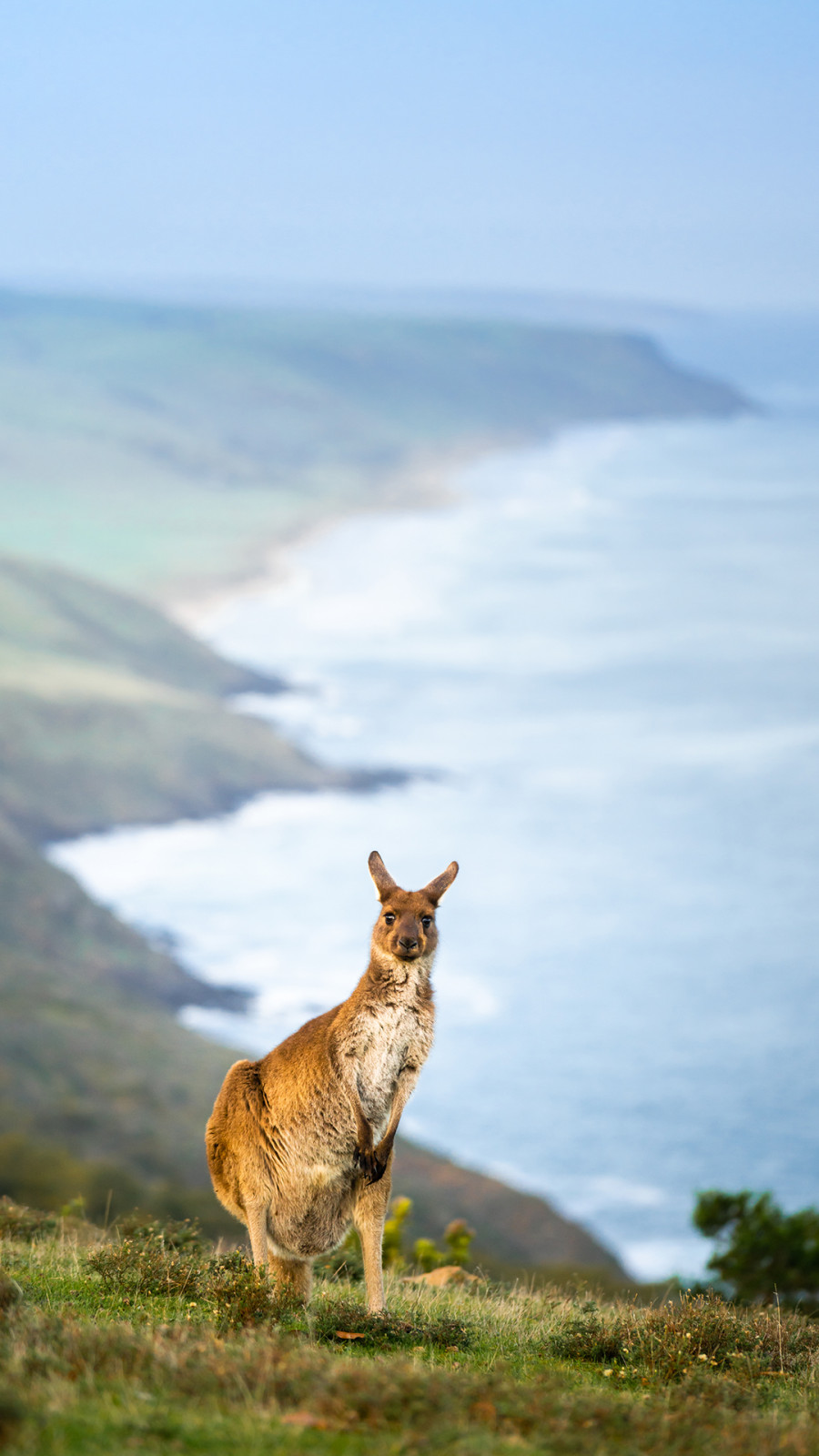 Travelworld Magazine Australië