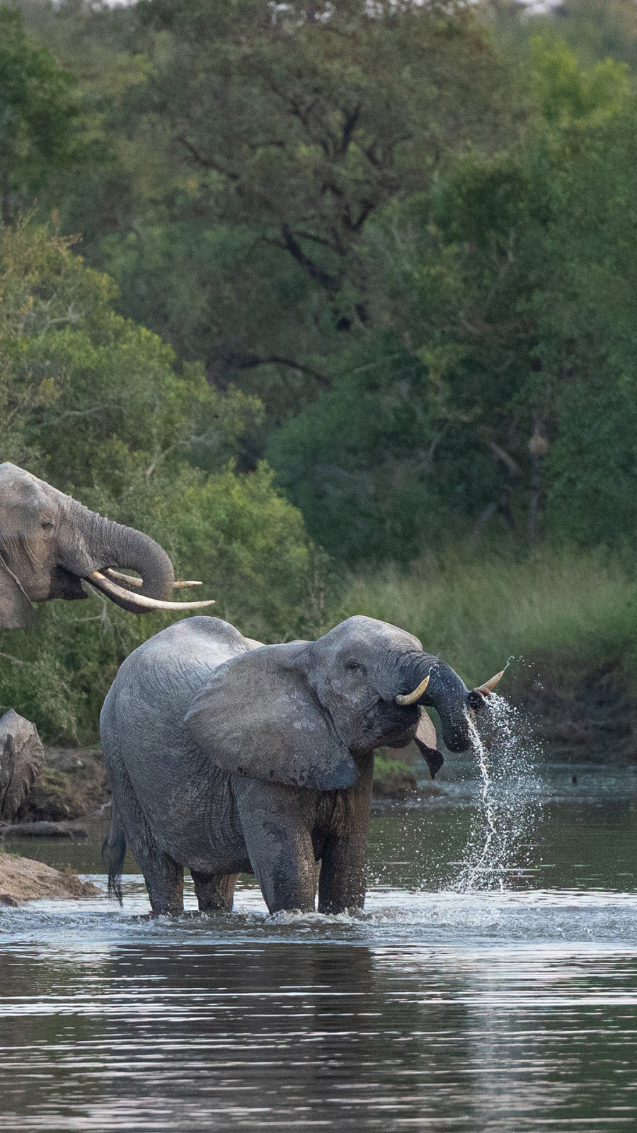 Travelworld Magazine Zuid-Afrika