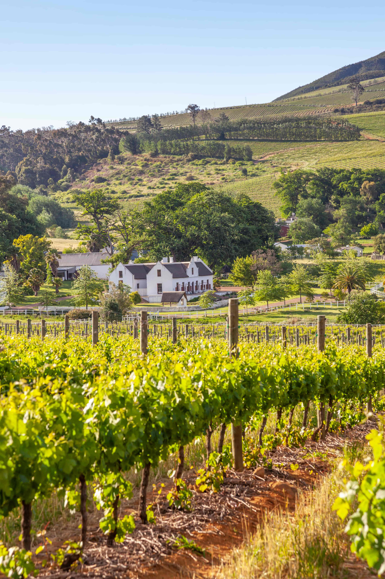Stellenbosch wijnland huis bergen