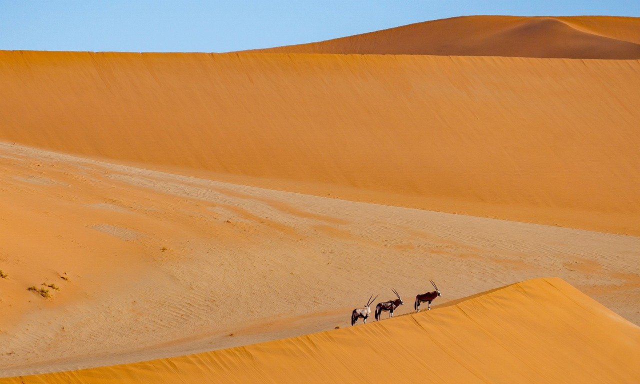 Zandduinen van de Sossusvlei in Namibië