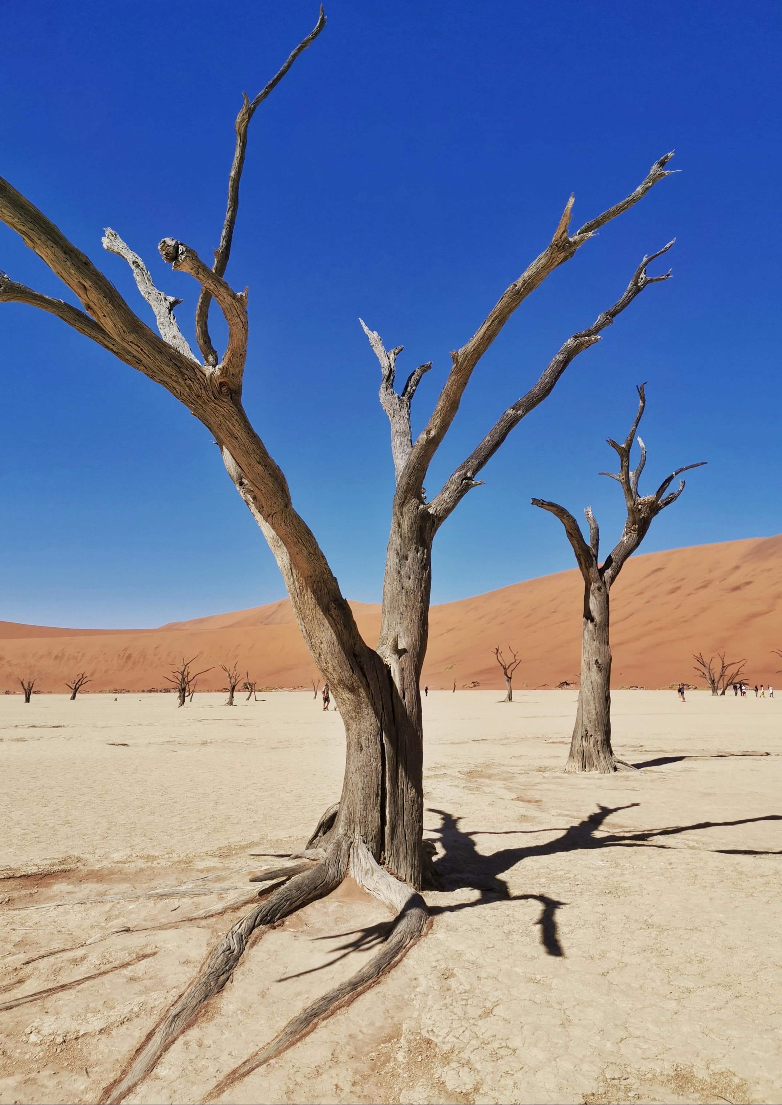 Sossusvlei Namibië woestijn