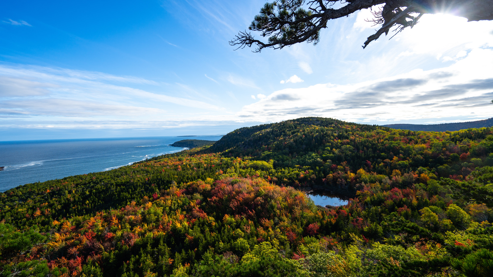 Amerika Acadia National Park bomen meer zee