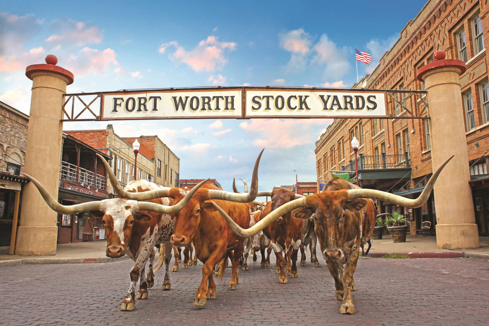 Texas Fort Worth Longhorns Stock Yards Cattle drive