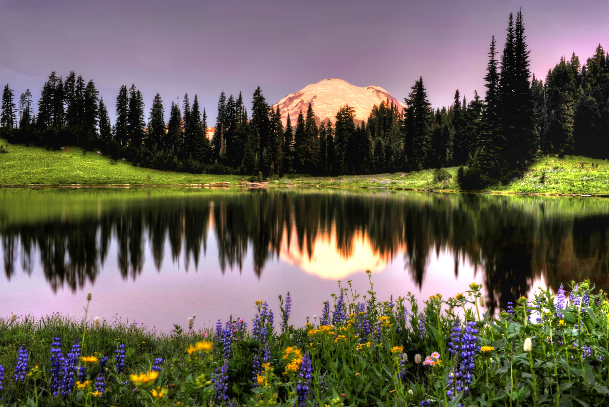 Washington State Mount Rainier berg meer