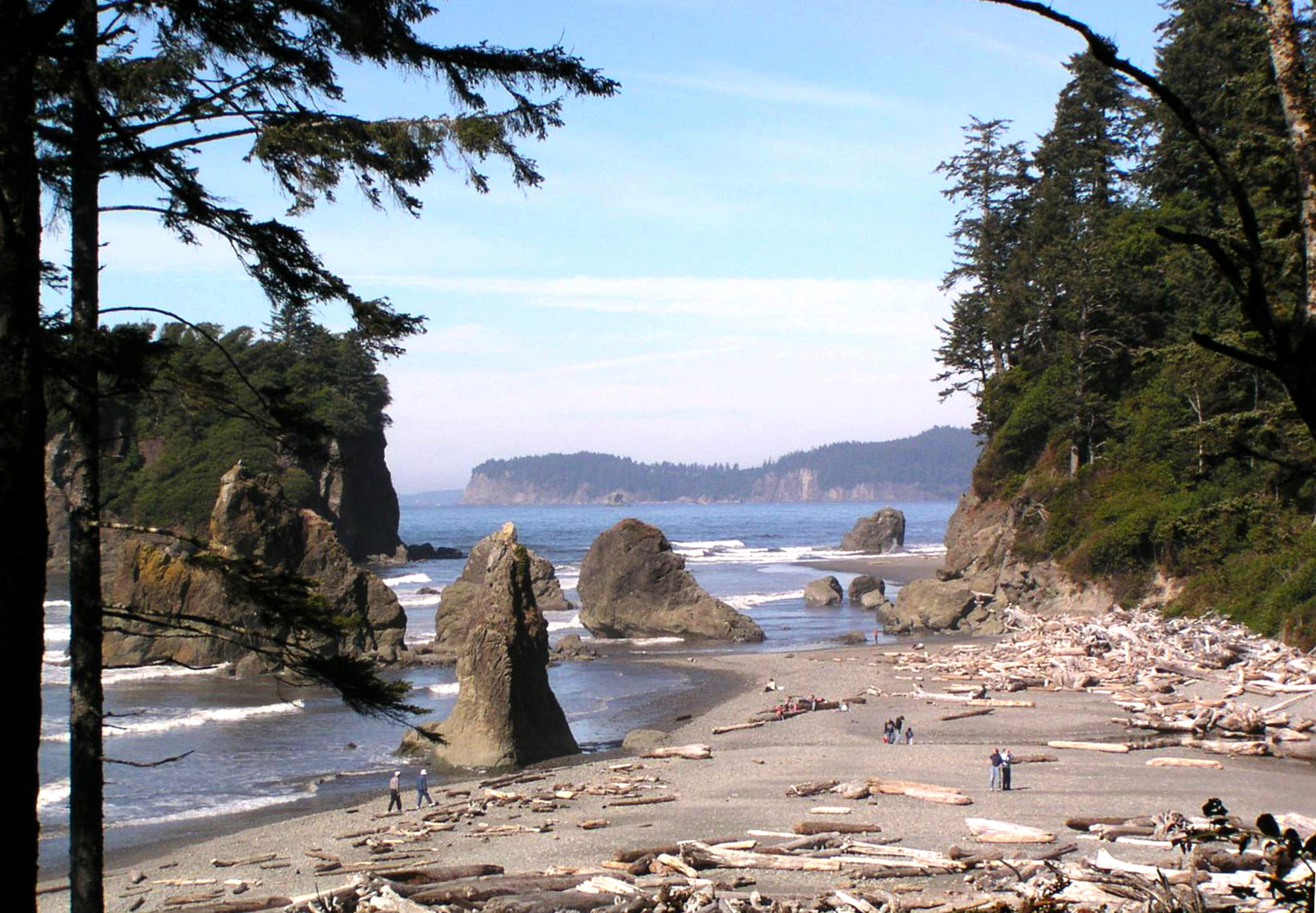Washington State Olympic National Park rots strand zee