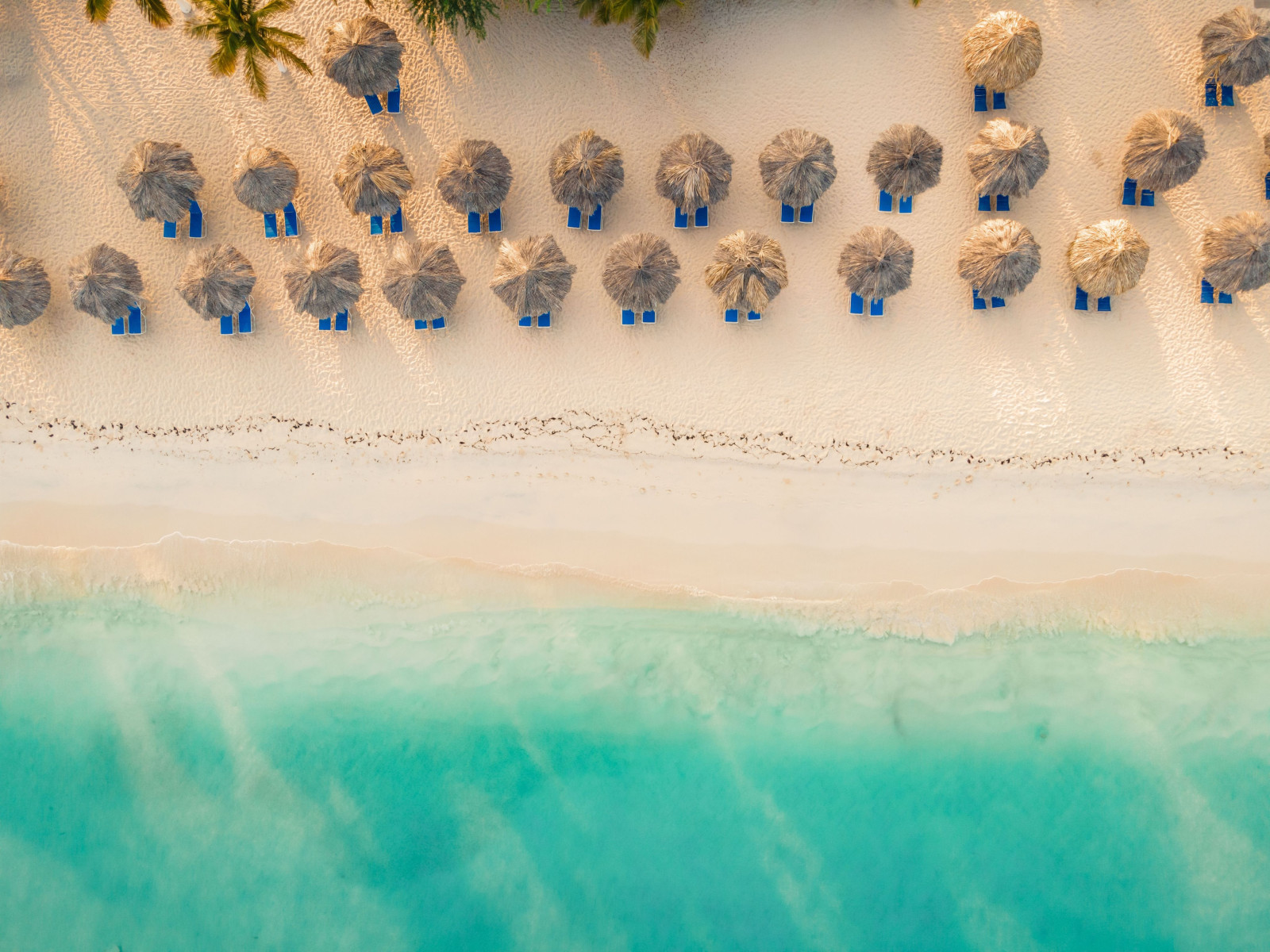 Aruba Amsterdam Manor Resort strand