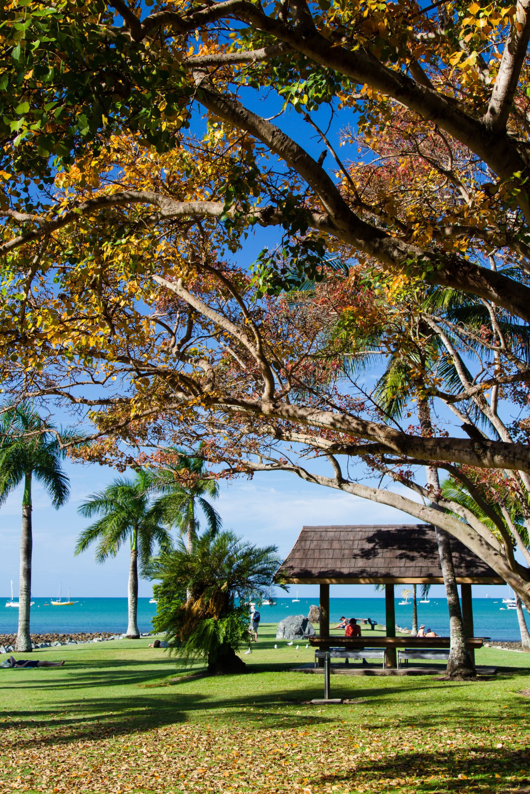 Australië Queensland Airlie Beach waterfront