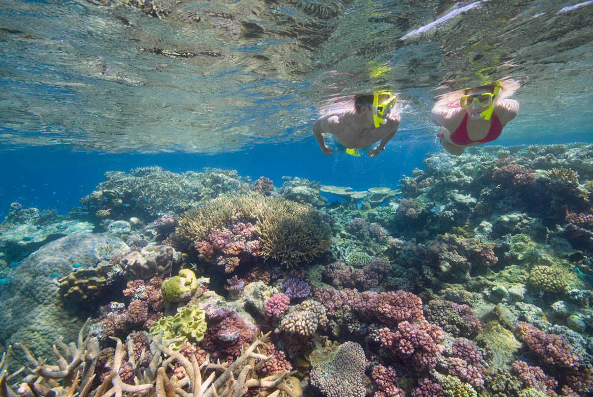 Australië Great Barrier Reef snorkelen