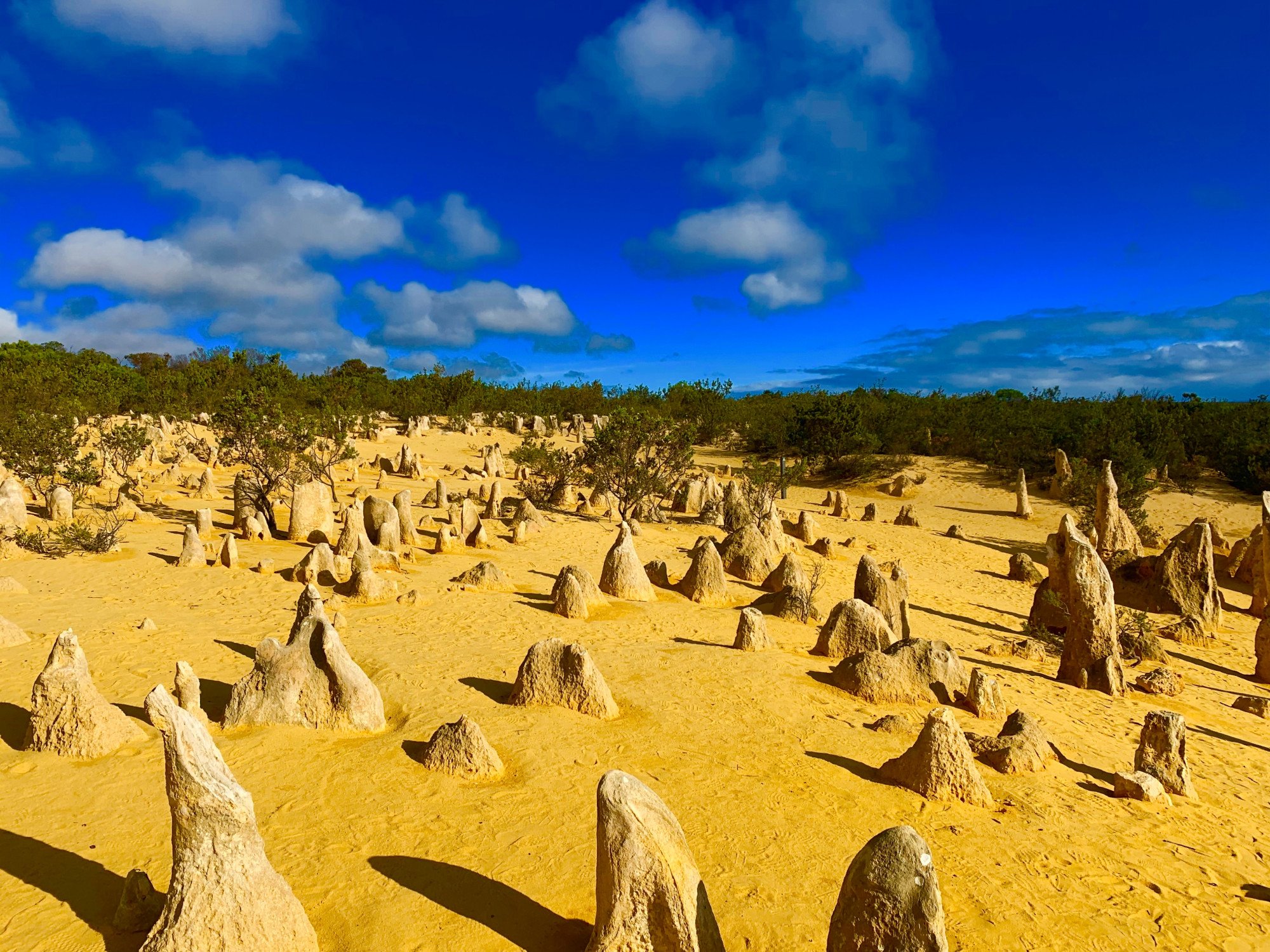 The Pinnacles - Australië