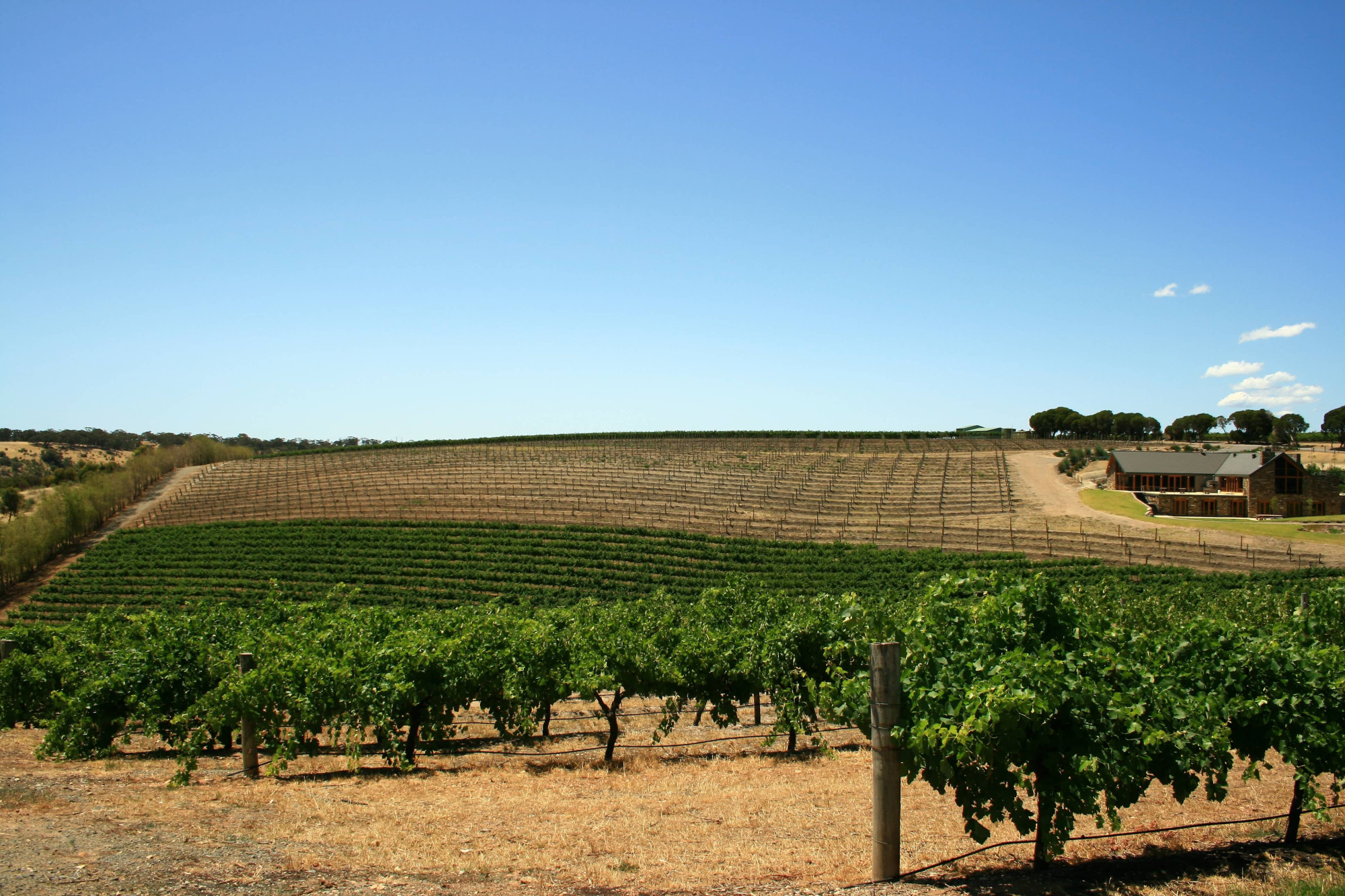 Great Ocean Road Australië Barossa Valley wijnlanden
